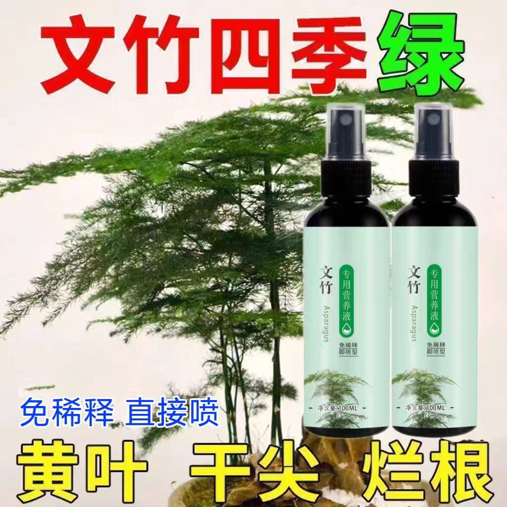 文竹专用肥营养液治叶子发黄枯瘦干尖烂根落叶促生长免稀释家用肥