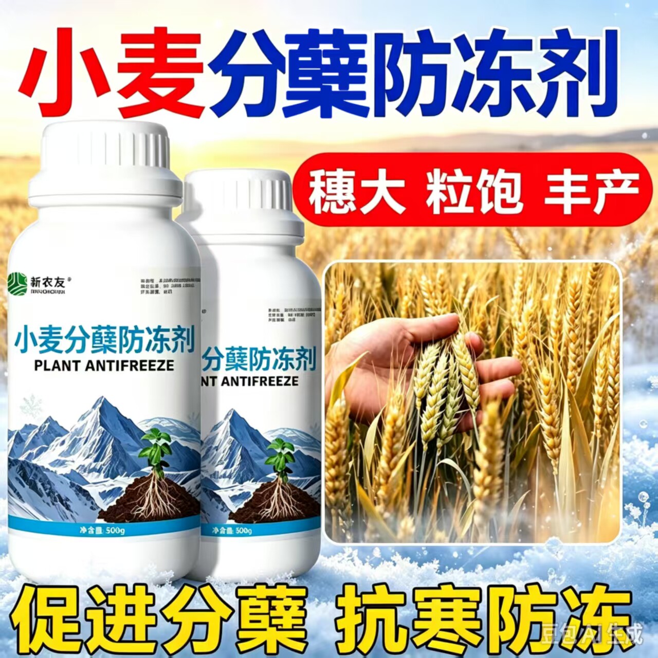 小麦分蘖防冻剂生根护根促进分蘖提高抗倒伏能力防冻抗逆抗寒
