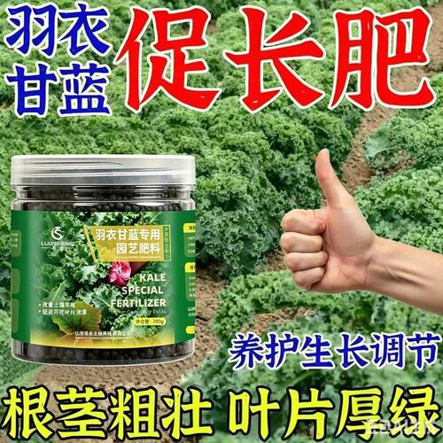 羽衣甘蓝专用肥料养殖盆栽种植土壤营养肥壮杆叶肥抗倒颗粒缓释肥