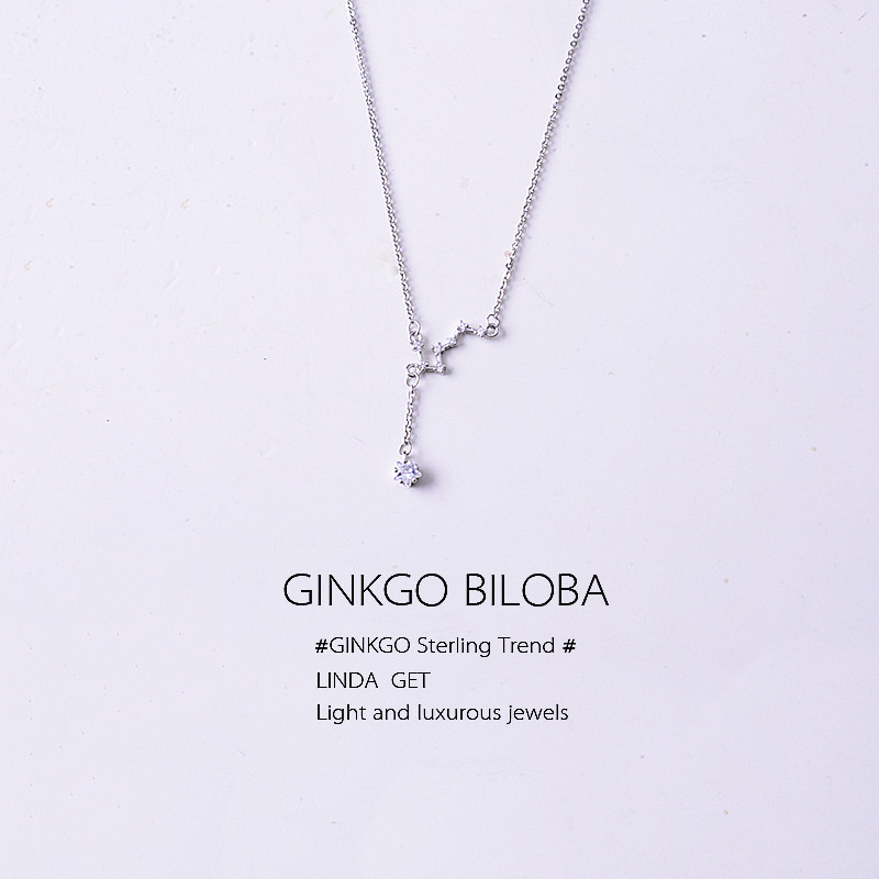 925纯银北斗七星项链轻奢小众女2021年新款百搭锁骨链夏ins冷淡风