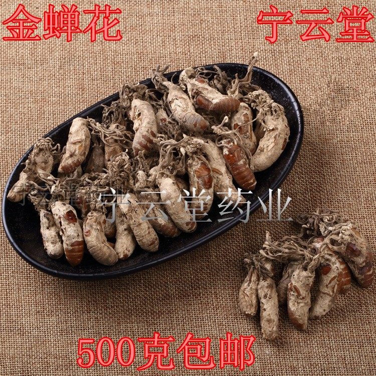 2025新货  野生 金蝉花 正宗中药材蝉花虫草知了花500g 270元包邮