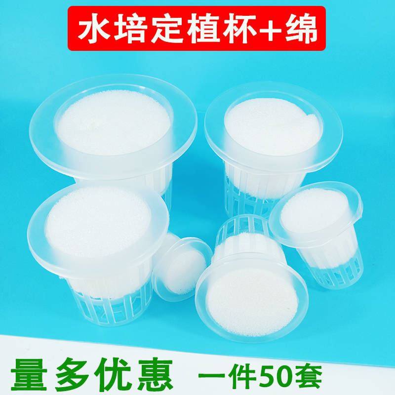 水培定植篮固根器无土栽培蔬菜设备塑料加深水耕植物种植杯加海绵|ruв категории доставка цветов/цветок моделирования/растения садоводства, садовых принадлежностей, других садовых принадлежностей - от Buy2taobao.com для оказания профессиональной услуги покупки агента Taobao