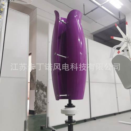 郁金香型风力发电机600W/1KW/2KW微风发电机小型风力发电机