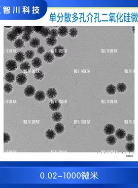 单分散多孔介孔二氧化硅微球  微球（0.05—200微米）