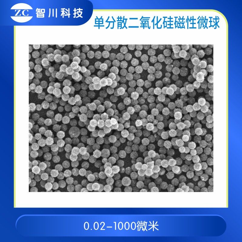 二氧化硅磁珠|核酸提取 化学发光 免疫诊断|氨基 Tosyl苯磺酰基