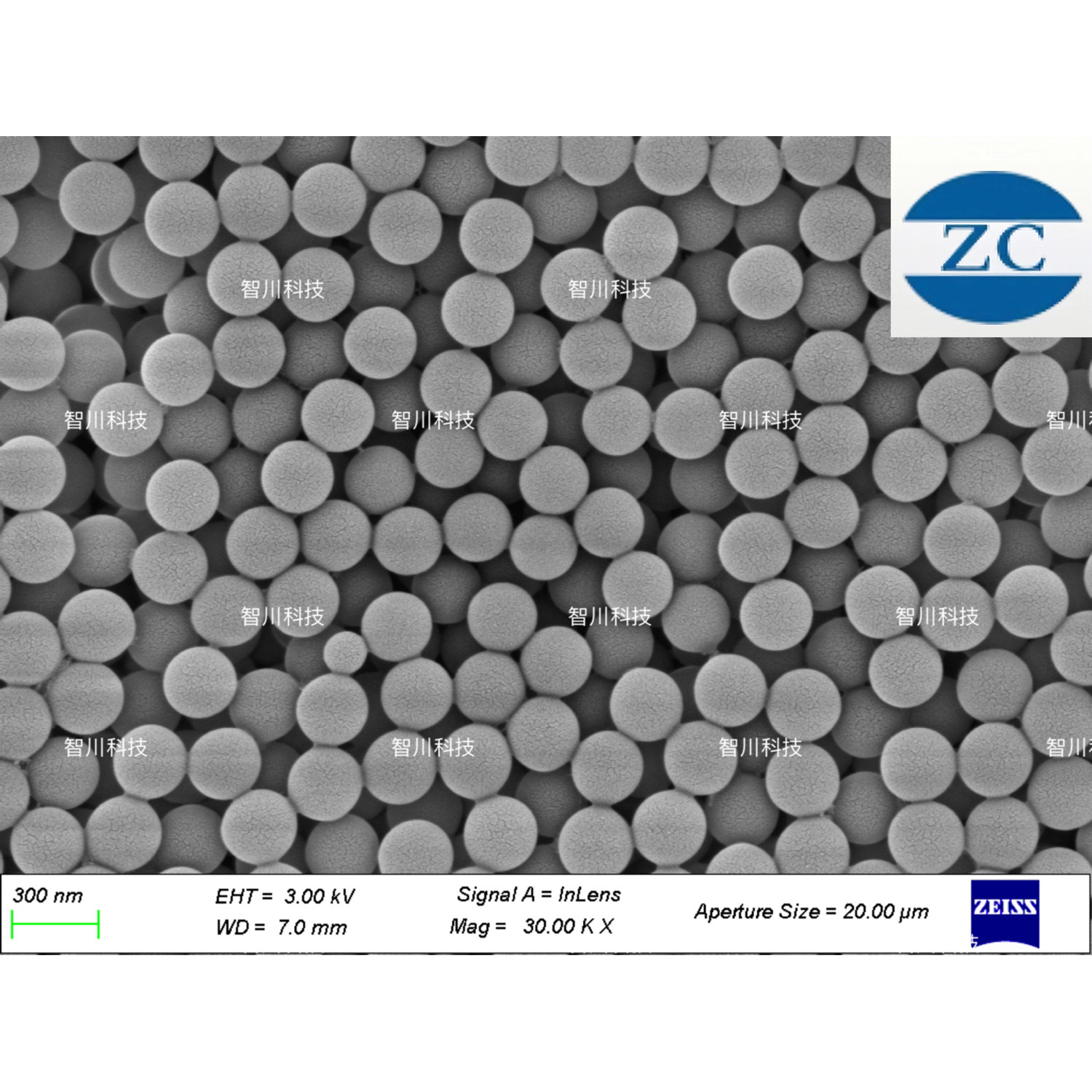 荧光/彩色免疫微球/磁珠 蛋白/抗体偶联微球/磁珠 蛋白纯化