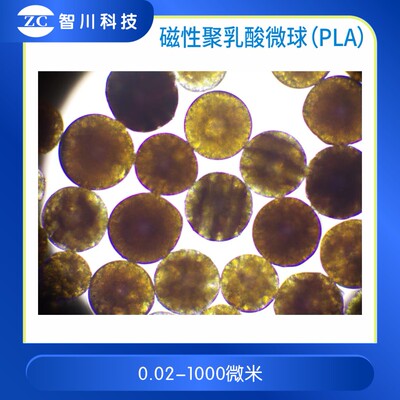 磁性聚乳酸微球（PLA）