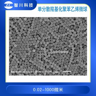 单分散羧基化聚苯乙烯纳米微球 PS 微塑料 微球分散液
