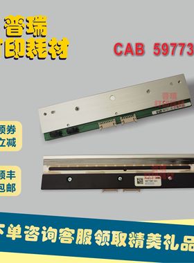 CAB 5977387打印头，德国CAB/凯博，Squix 6.3 300dpi