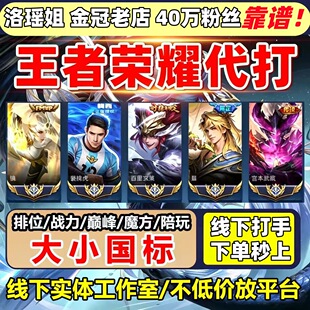 王者荣耀代打代练小国标省标排位战力赛小魔方陪玩带上分车队