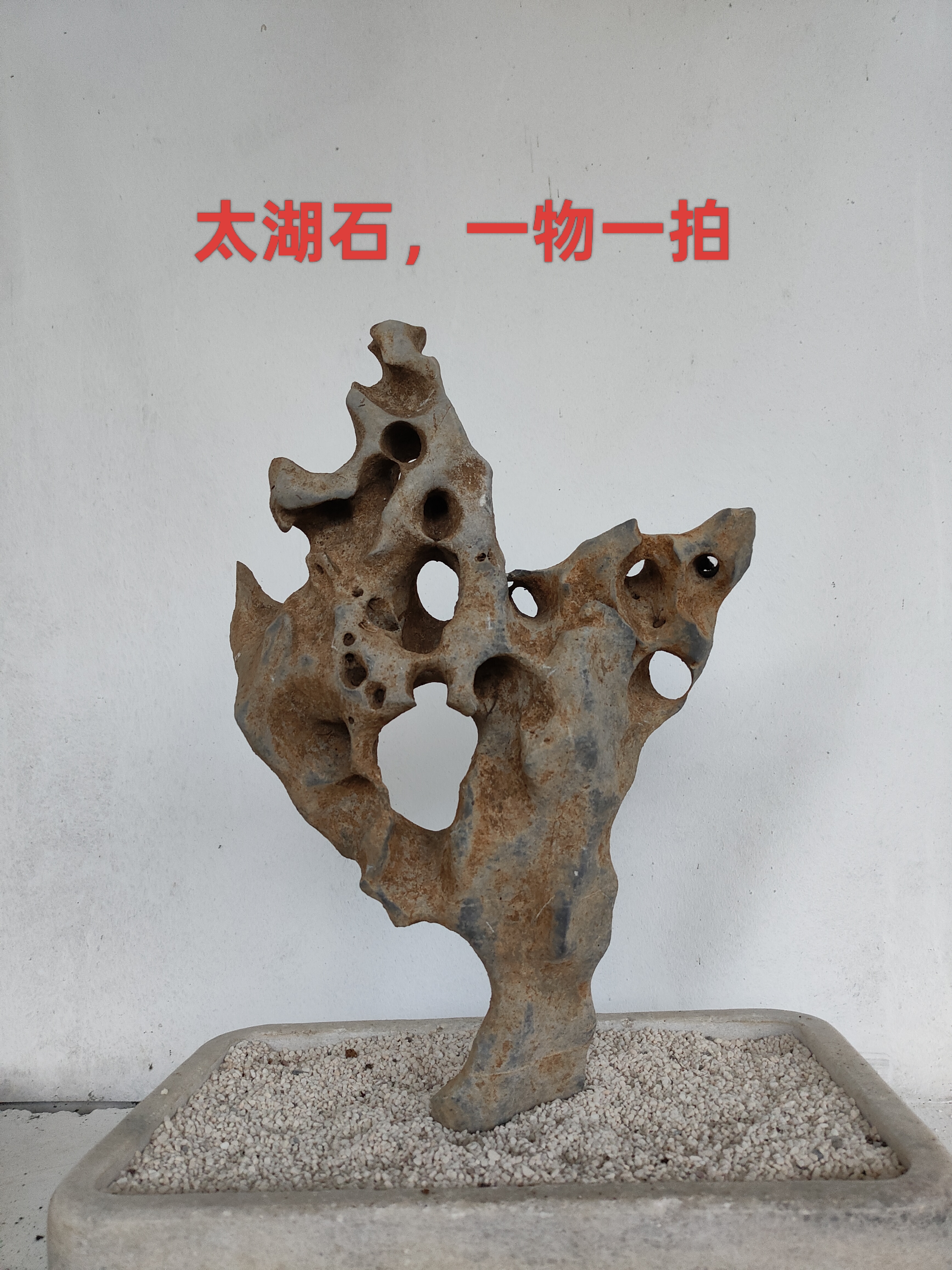 广西灵璧石原石奇石鱼缸摆件假山石头景观石盆景园林灵璧石