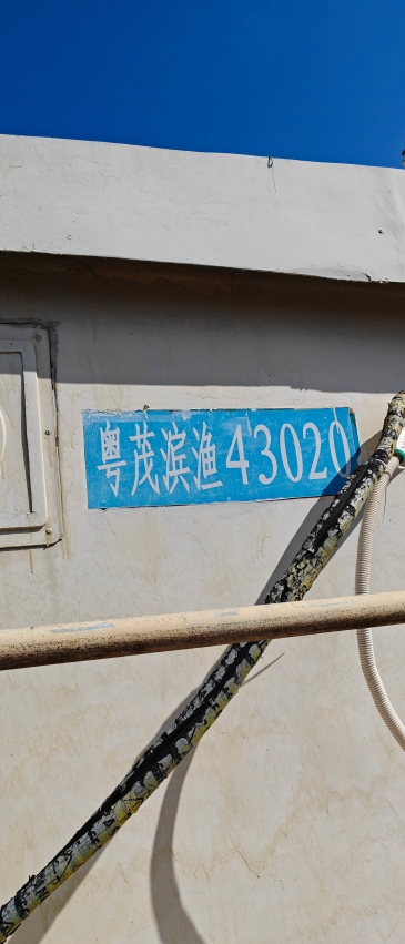 11月30日中山粤茂滨渔43020国内捕捞船（含海图机SH-788）网络拍卖公告