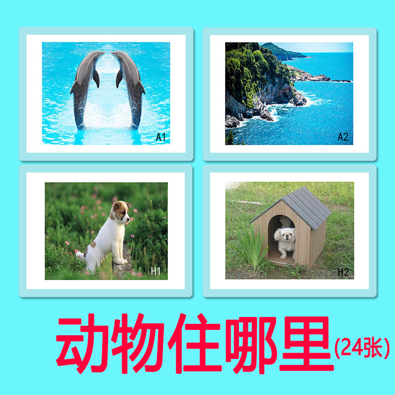 动物住哪里自闭症儿童康复训练卡片早教益智语言发育迟缓教材教具