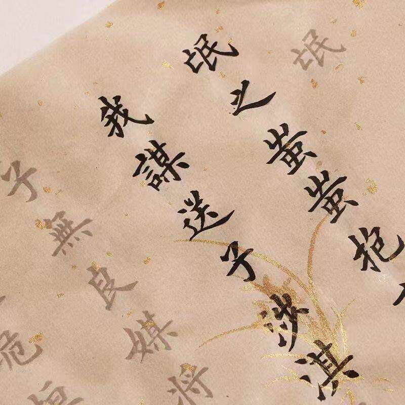 氓 全文小楷毛笔字帖描红洒金宣纸初学者书法入门临摹钢笔式软笔