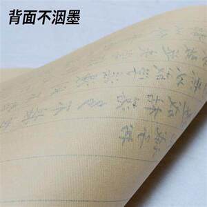 宣纸信笺青竹仿古日课纸竖格方格毛边纸米字格毛笔小楷书法练习纸