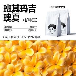 精品咖啡豆 班其玛吉瑰夏 浅度烘培 新鲜烘焙意式阿拉比卡咖啡豆