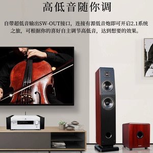 Winner/天逸AD-86D 66DPro 60 89D 99DHIFI功放甲类蓝牙大功率