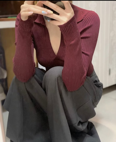 aritzia babaton 原单v领针织衫