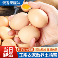 農(nóng)家散養(yǎng)土雞蛋40枚*50g