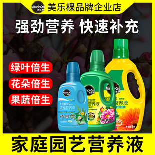 美乐棵通用植物营养液花肥月季 花卉兰花绿植发财树水培肥料专用