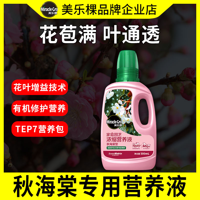 美乐棵秋海棠专用浓缩营养液福寿竹节乌头杂小孔雀通用型花肥料