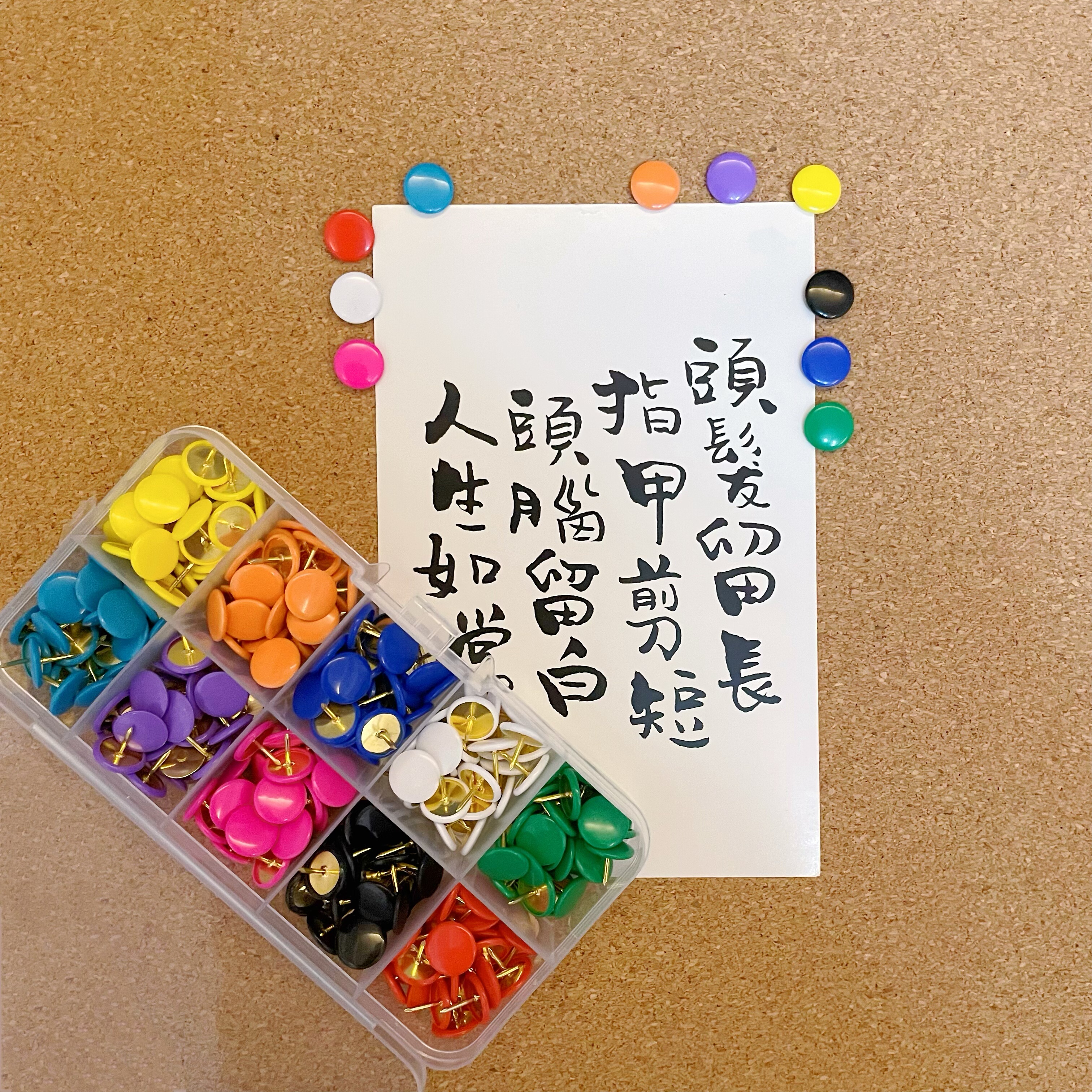 10色糖果色图钉彩色圆形平面按钉软木板毛毡照片墙装饰幼儿园钉