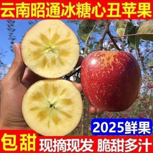 云南昭通红露丑苹果冰糖心丑苹果新鲜水果产地直发