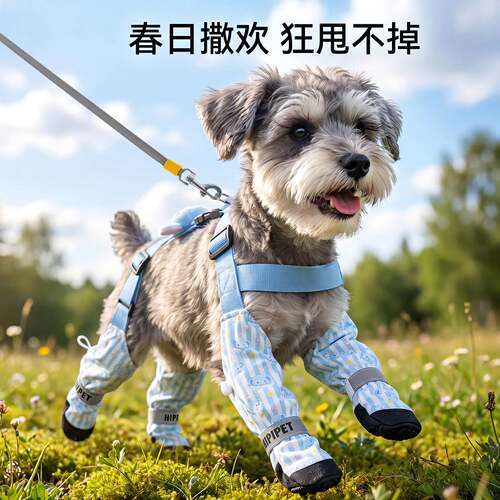 宠物鞋子狗狗背带一体防掉脚套防水耐磨狗狗脚套四季通用狗狗鞋子