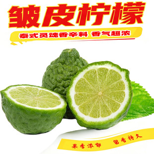 新鲜马蜂橙皱皮柠檬粗皮柠檬丑果柠檬毛里橙泰国菜东南亚菜用文玩