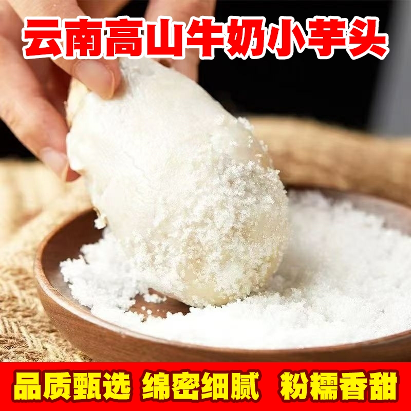 云南牛奶芋头毛芋头奶软糯香甜