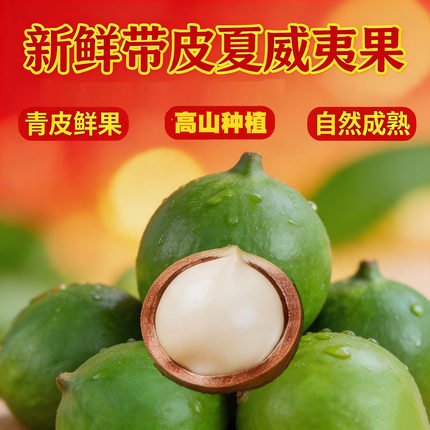 云南新鲜夏威夷果带青皮原味奶香澳洲生坚果孕妇宝宝坚果当季新货