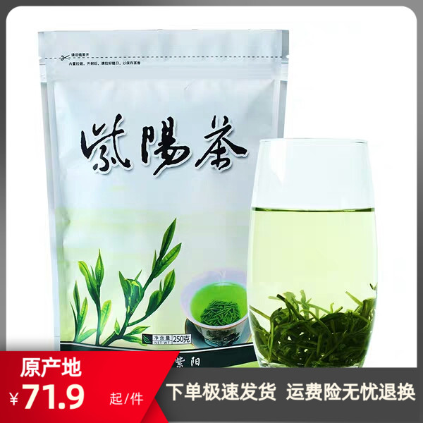 安康绿茶紫阳茶卷毛尖炒青2023陕西新茶散装高山茶叶250克新品