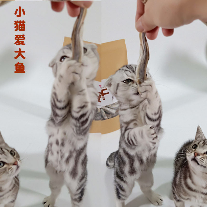 网红小鱼干猫零食冻干多春鱼大号猫咪补钙增肥无盐猫粮大包装500g