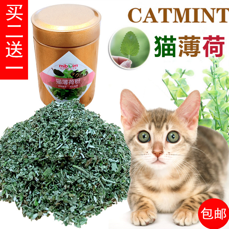 猫薄荷粉价格 猫薄荷粉图片 星期三