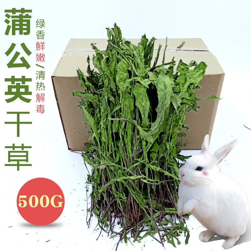 蒲公英草干草叶子整箱500g宠物兔子草粮饲料龙猫荷兰猪豚鼠牧草,宠物/宠物食品及用品,兔兔干草,淘宝优惠券,粉丝福利购,淘宝优惠卷