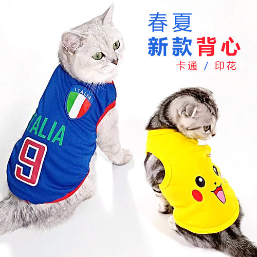 网红小猫咪衣服宠物猫背心式英短