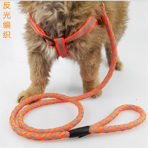 反光中小型泰迪雪纳瑞用品狗绳子