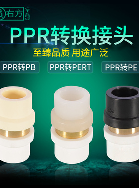 转换接头PPR转PE变换PERT转变PB20/25/32管件4/6分1寸水管配件