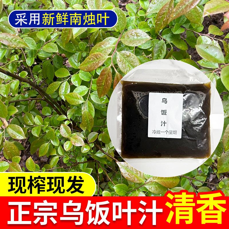 正宗新鲜乌饭叶汁南烛树叶汁乌米饭草汁乌糯米粽乌八宝饭特产原料
