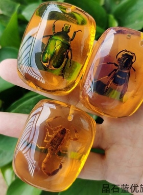 儿童生物昆虫标本琥珀圣
