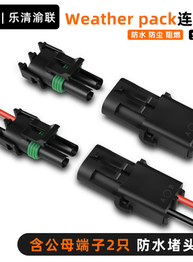 DJ3021Y-2.5-11/21 Delphi2.5汽车2孔连接器 12010973/12015792