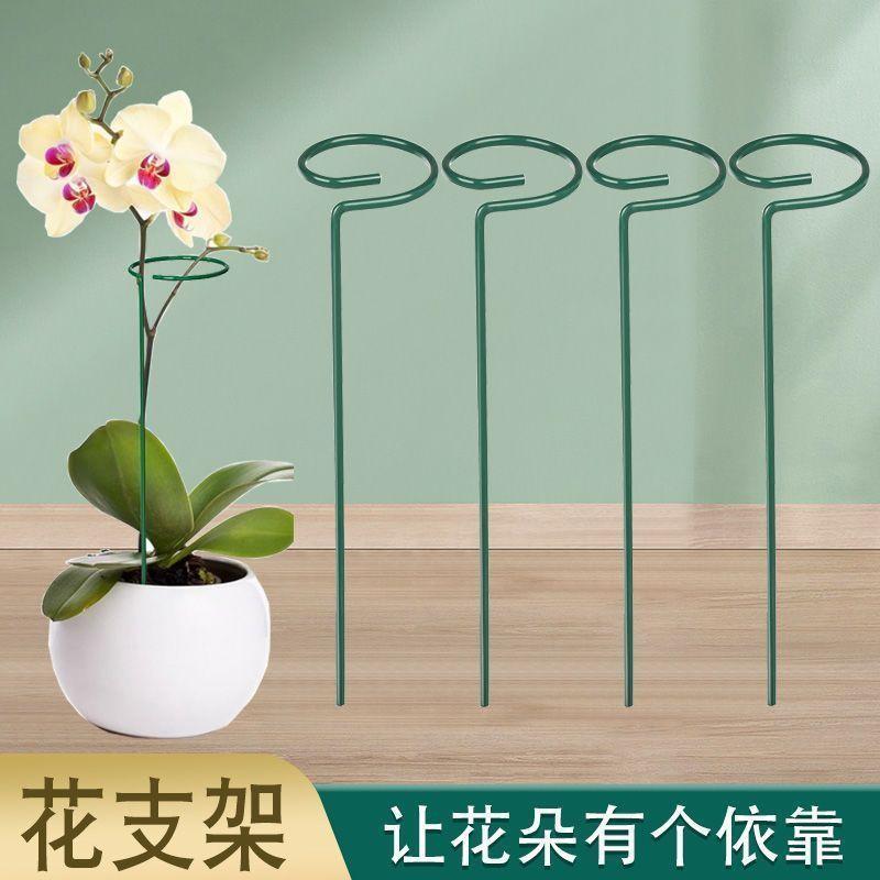 植物支撑杆园艺花架爬藤防倒伏支架花支架防倒固定花架子花卉护花