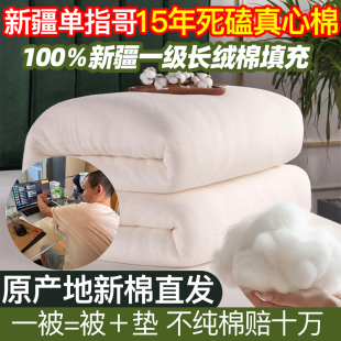 新疆一级长绒棉被纯棉花被子全棉被芯纯棉絮床垫褥子冬被加厚保暖