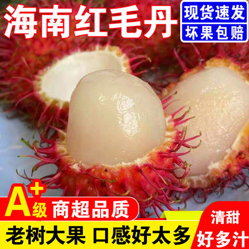 寻乡农品泰国红毛丹水果毛荔枝