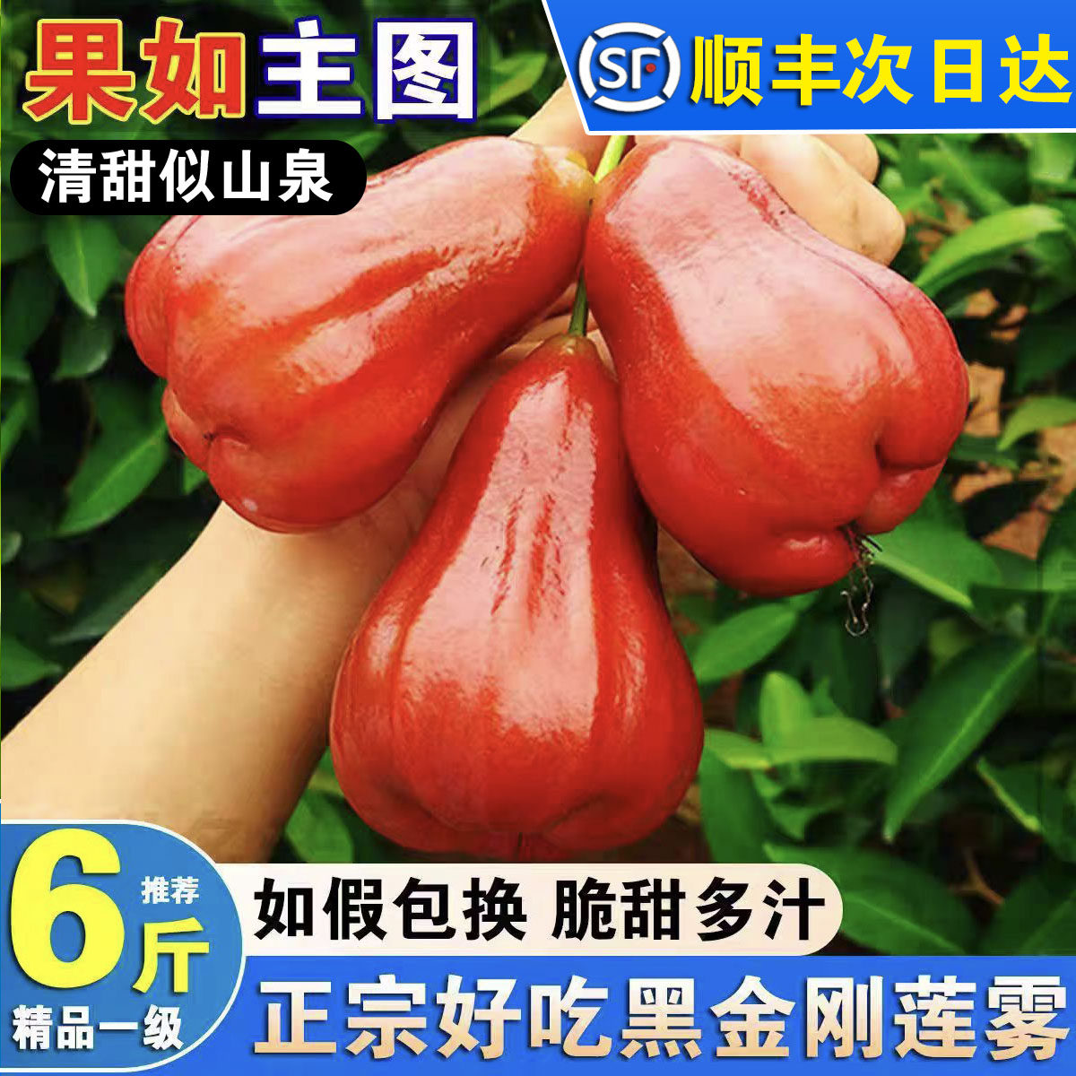 寻乡农品海南黑金刚莲雾顺丰包邮