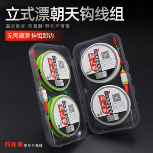 朝天钩立式漂线组长杆远投钓组醒目鱼漂加粗浮漂垂钓套装野钓草洞