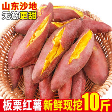 红薯新鲜板栗红薯蜜薯糖心地瓜农家小红香薯黄心烟薯山芋10斤番薯