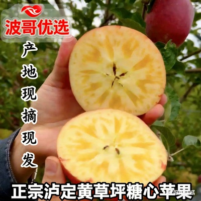 四川甘孜泸定康定黄草坪高原特产正宗糖心苹果精品中大果送礼佳品
