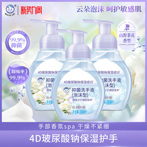 泡沫抑菌洗手液300清洁抑菌家用