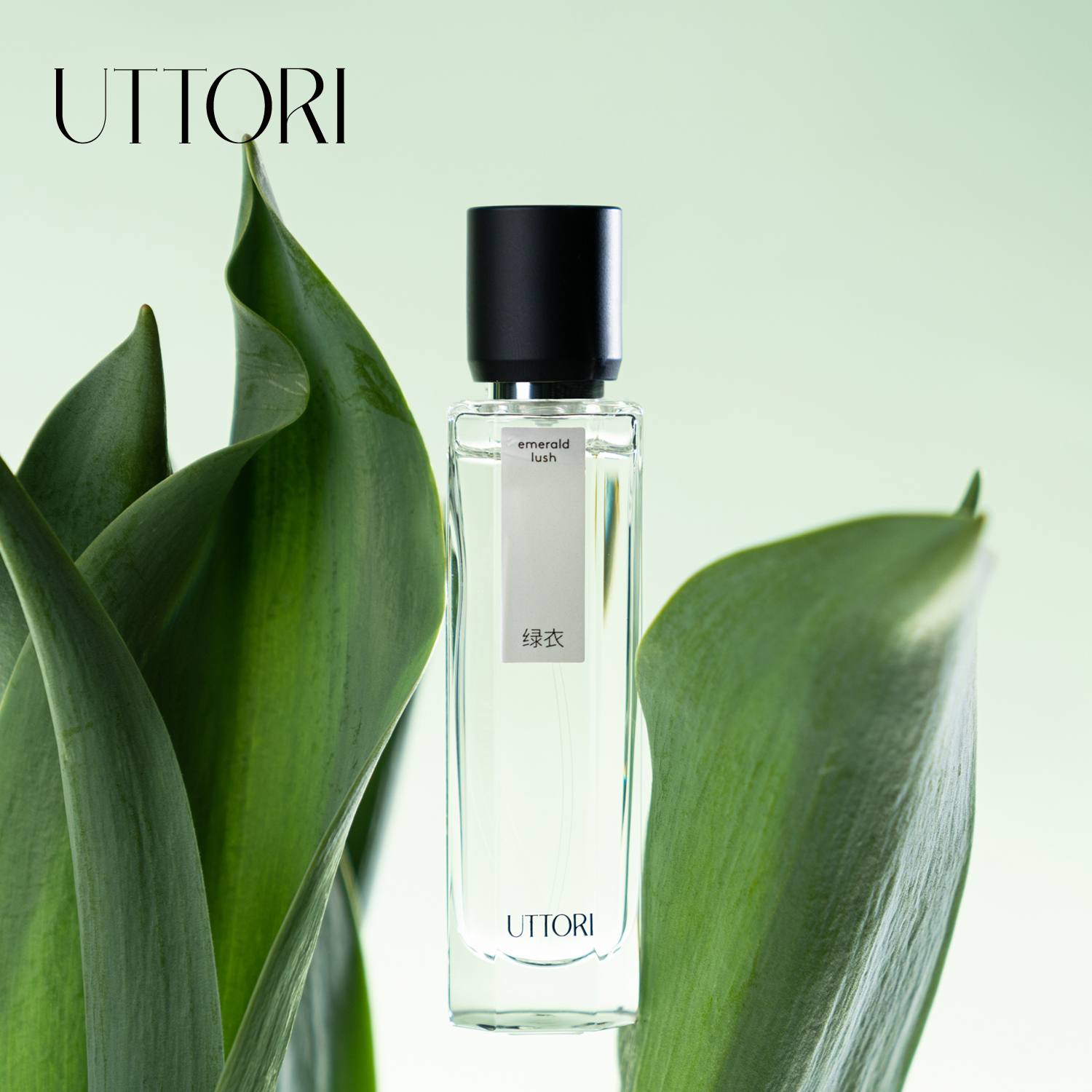 UTTORI五朵里绿衣香水
